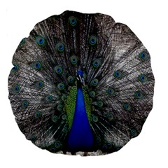 Peacock Bird Animals Pen Plumage Large 18  Premium Round Cushions by Sapixe
