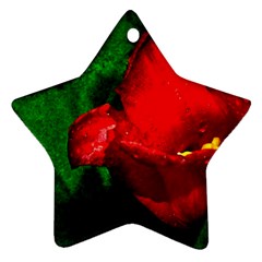 Red Tulip After The Shower Ornament (star) by FunnyCow