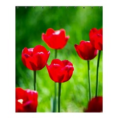 Red Tulip Flowers, Sunny Day Shower Curtain 60  X 72  (medium)  by FunnyCow