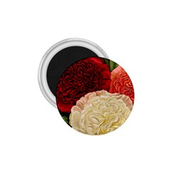 Flowers 1776584 1920 1 75  Magnets by vintage2030