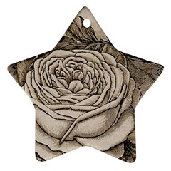 Flowers 1776630 1920 Ornament (star) by vintage2030