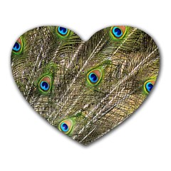 Peacock Feathers Color Plumage Green Heart Mousepads by Sapixe