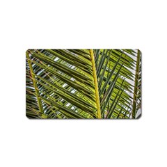 Palm Fronds Palm Palm Leaf Plant Magnet (name Card) by Wegoenart