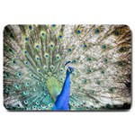 Peacock Bird Colorful Plumage Large Doormat  30 x20  Door Mat