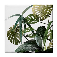 Botanical Illustration Palm Leaf Tile Coasters by Mariart