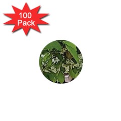 Garden Of The Phoenix  1  Mini Buttons (100 Pack)  by Riverwoman