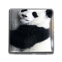 Panda Bear Sleeping Memory Card Reader (square 5 Slot) by Sudhe