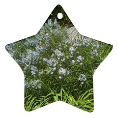 Lurie Garden Amsonia Star Ornament (two Sides) by Riverwoman
