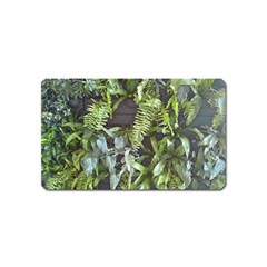Living Wall Magnet (name Card) by Riverwoman