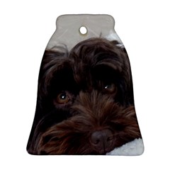 Laying In Dog Bed Bell Ornament (two Sides) by pauchesstore