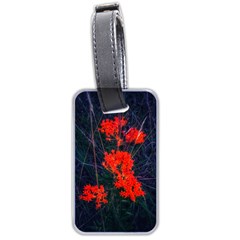 Neon Orange Butterfly Weed Luggage Tags (two Sides) by okhismakingart
