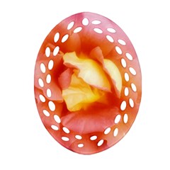 Light Orange And Pink Rose Ornament (oval Filigree) by okhismakingart