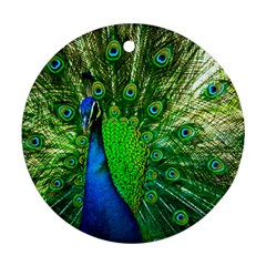 Peacock Peafowl Pattern Plumage Round Ornament (two Sides) by Pakrebo