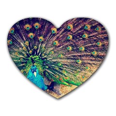 Bird Biology Fauna Material Chile Peacock Plumage Feathers Symmetry Vertebrate Peafowl Heart Mousepads by Vaneshart