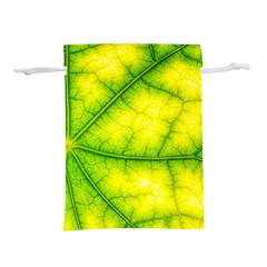 Photosynthesis Leaf Green Structure Lightweight Drawstring Pouch (m) by Wegoenart