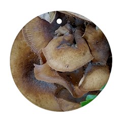 Close Up Mushroom Abstract Round Ornament (two Sides) by Fractalsandkaleidoscopes