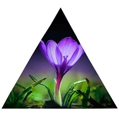 Floral Nature Wooden Puzzle Triangle by Sparkle