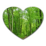 In the forest the fullness of spring, green, Heart Mousepads Front