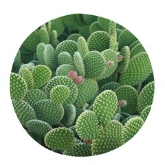 Green Cactus Pop Socket (black) by Sparkle