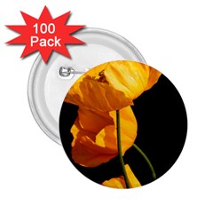 Yellow Poppies 2 25  Buttons (100 Pack)  by Audy