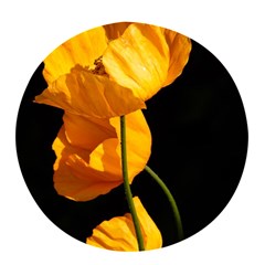 Yellow Poppies Pop Socket (white) by Audy
