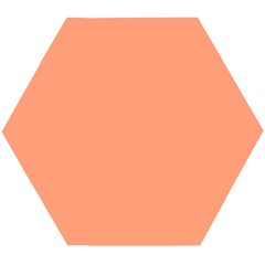 Color Light Salmon Wooden Puzzle Hexagon by Kultjers
