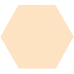 Color Bisque Wooden Puzzle Hexagon by Kultjers