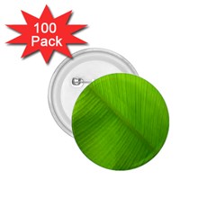 Banana Leaf 1 75  Buttons (100 Pack)  by artworkshop