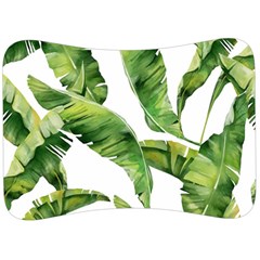 Sheets Tropical Plant Palm Summer Exotic Velour Seat Head Rest Cushion by artworkshop