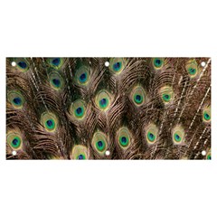 Bird-peacock Banner And Sign 6  X 3  by nateshop