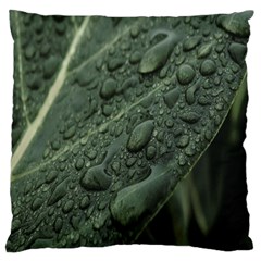 Leaves Water Drops Green  Standard Flano Cushion Case (two Sides) by artworkshop