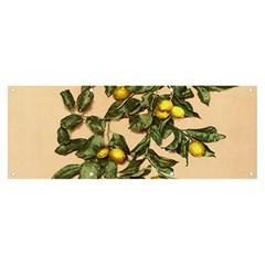 A Vintage Bunch Of Lemons Banner And Sign 8  X 3  by ConteMonfrey