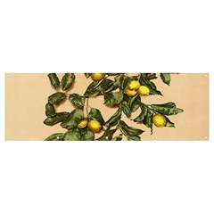 A Vintage Bunch Of Lemons Banner And Sign 12  X 4  by ConteMonfrey