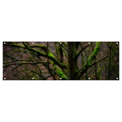 Tree Moss Forest Bark Wood Trunk Banner And Sign 12  X 4  by Wegoenart