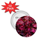 Red Leaves Plant Nature Leaves Flora Foliage 1.75  Buttons (10 pack) Front