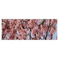 Japanese Sakura Background Banner And Sign 8  X 3  by artworkshop