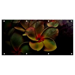Beautiful Floral Banner And Sign 8  X 4  by Sparkle
