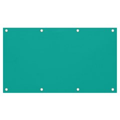 Color Light Sea Green Banner And Sign 7  X 4  by Kultjers