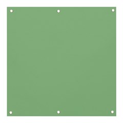 Color Dark Sea Green Banner And Sign 3  X 3  by Kultjers