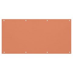 Color Dark Salmon Banner And Sign 8  X 4  by Kultjers