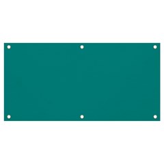 Color Dark Cyan Banner And Sign 4  X 2  by Kultjers