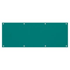 Color Dark Cyan Banner And Sign 8  X 3  by Kultjers