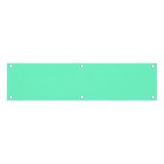 Color Aquamarine Banner And Sign 4  X 1  by Kultjers