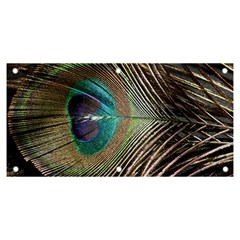 Peacock Banner And Sign 6  X 3  by StarvingArtisan
