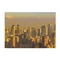 Buenos Aires City Aerial View002 Crystal Sticker (a4) by dflcprintsclothing