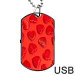 Valentine Day Heart Pattern  Dog Tag USB Flash (One Side) Front