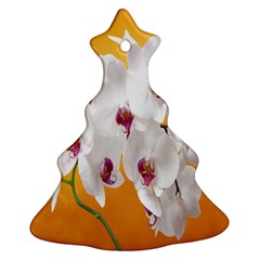 Boards Decoration Flower Flower Room Christmas Tree Ornament (two Sides) by artworkshop