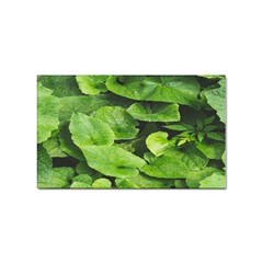 Layered Plant Leaves Iphone Wallpaper Sticker Rectangular (10 Pack) by artworkshop