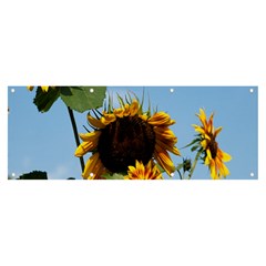 Sunflower Flower Yellow Banner And Sign 8  X 3  by artworkshop