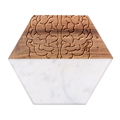 Brain-mind-psychology-idea-drawing Marble Wood Coaster (hexagon)  by Jancukart